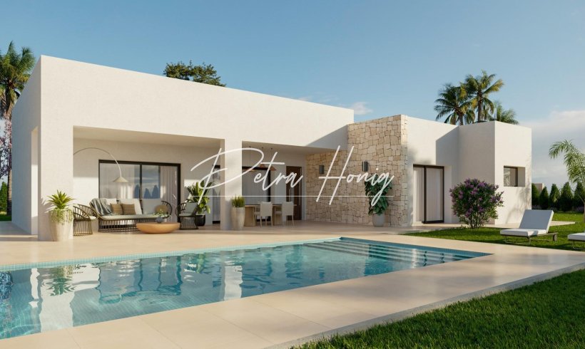 Villa - New build - Aspe - Poligono 19