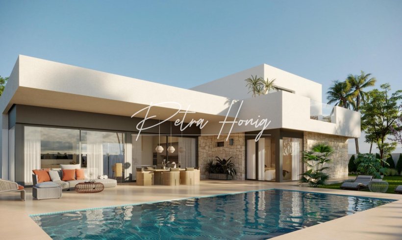 Villa - New build - Aspe - Poligono 19