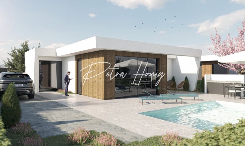 Villa - New build - Other areas - 00-53278