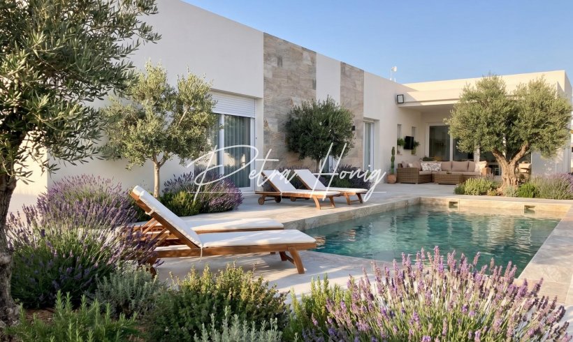 Villa - New build - Other areas - Casas Pastor