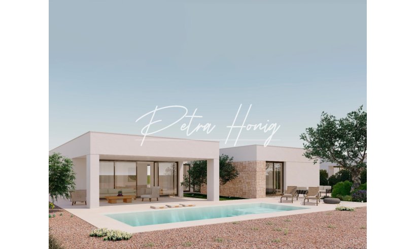 Villa - ny - Other areas - Hacienda del Alamo