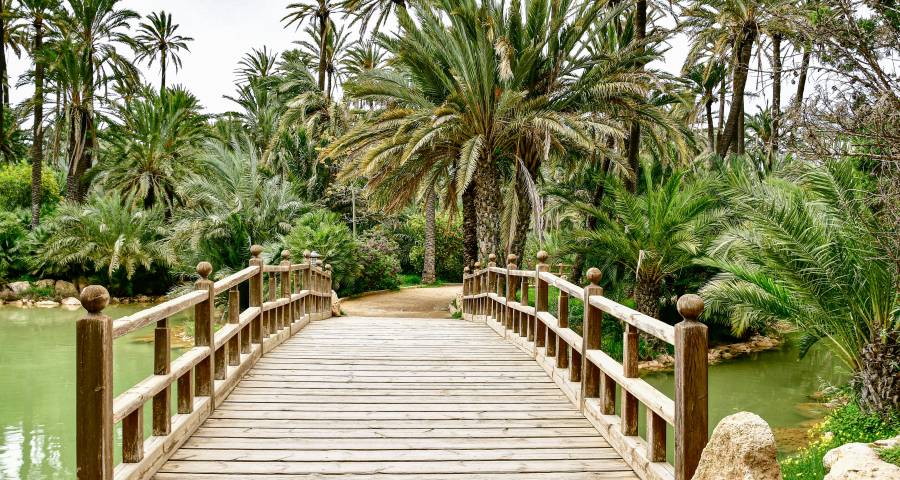 Las casas de reventa en Elche es lo que necesitas para disfrutar de la vida