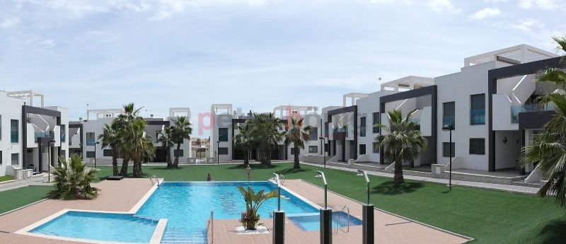 Agents immobiliers El Raso Guardamar