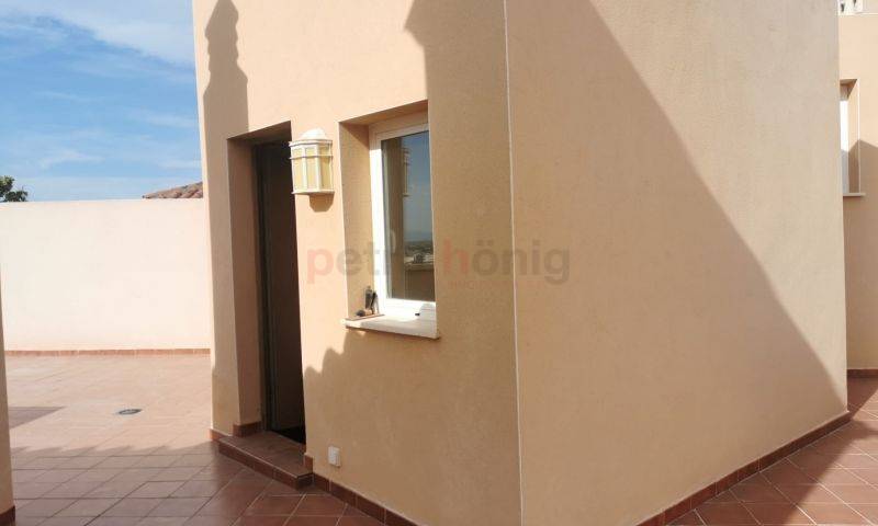 Resales - Apartment - Torrevieja