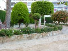 Reventa - Apartamento - Torrevieja - Playa de La Acequion