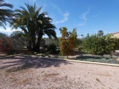 Resales - Finca - Catral