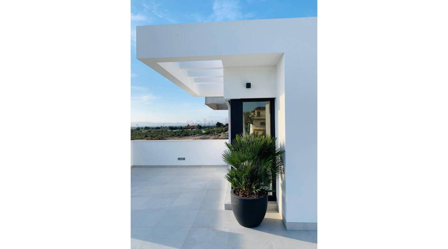 New build - Semi Detached - La Marina