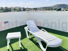 New build - Villa - Guardamar del Segura - Els secans