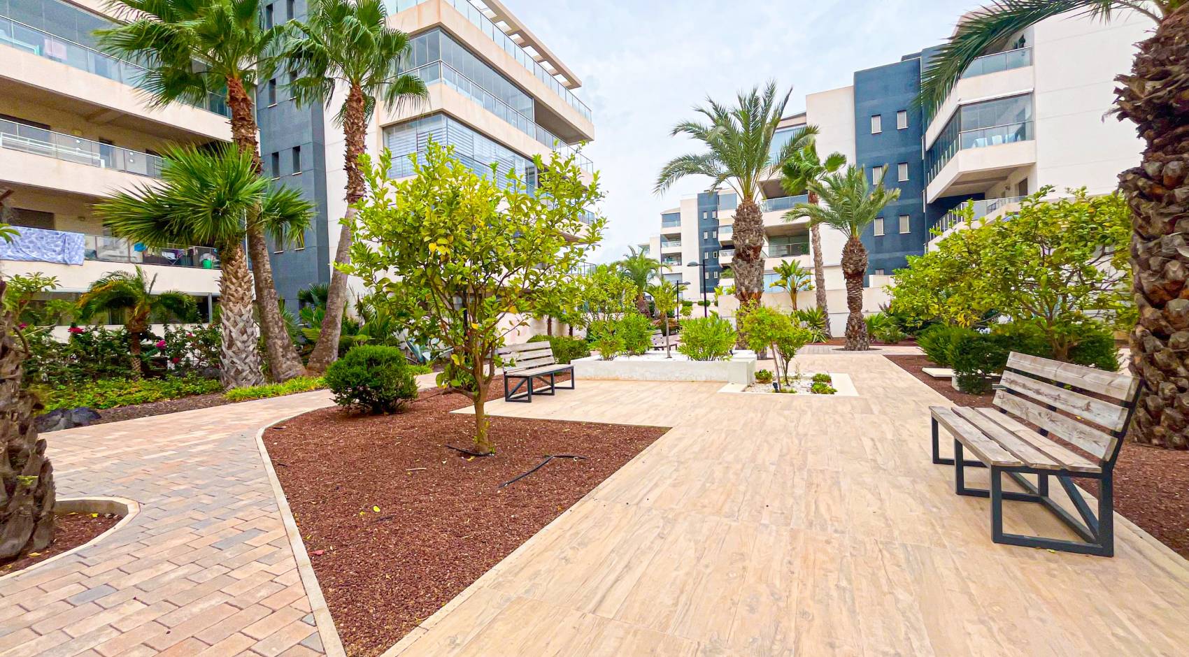 Reventa - Apartamento - Orihuela Costa - Villamartin