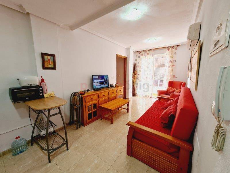 Gebrauchtobjekte - Apartment - La Mata - Centro