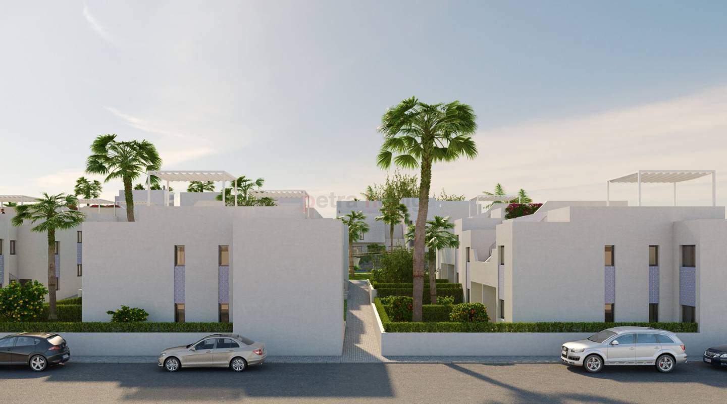 Neubau-Projekte - Apartment - San Miguel de Salinas