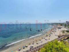 Reventa - Apartamento - Orihuela Costa - Campoamor