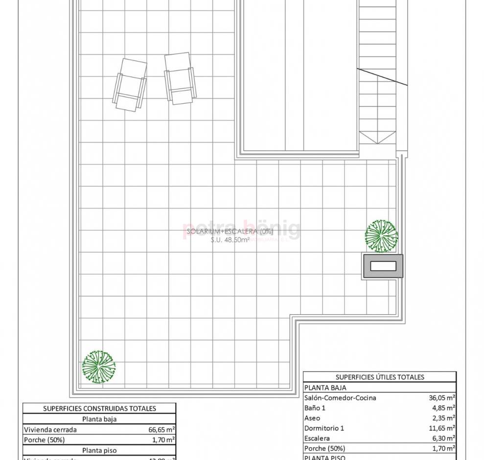 Nouvelle Construction - Maison de ville - Ciudad Quesada - Pueblo