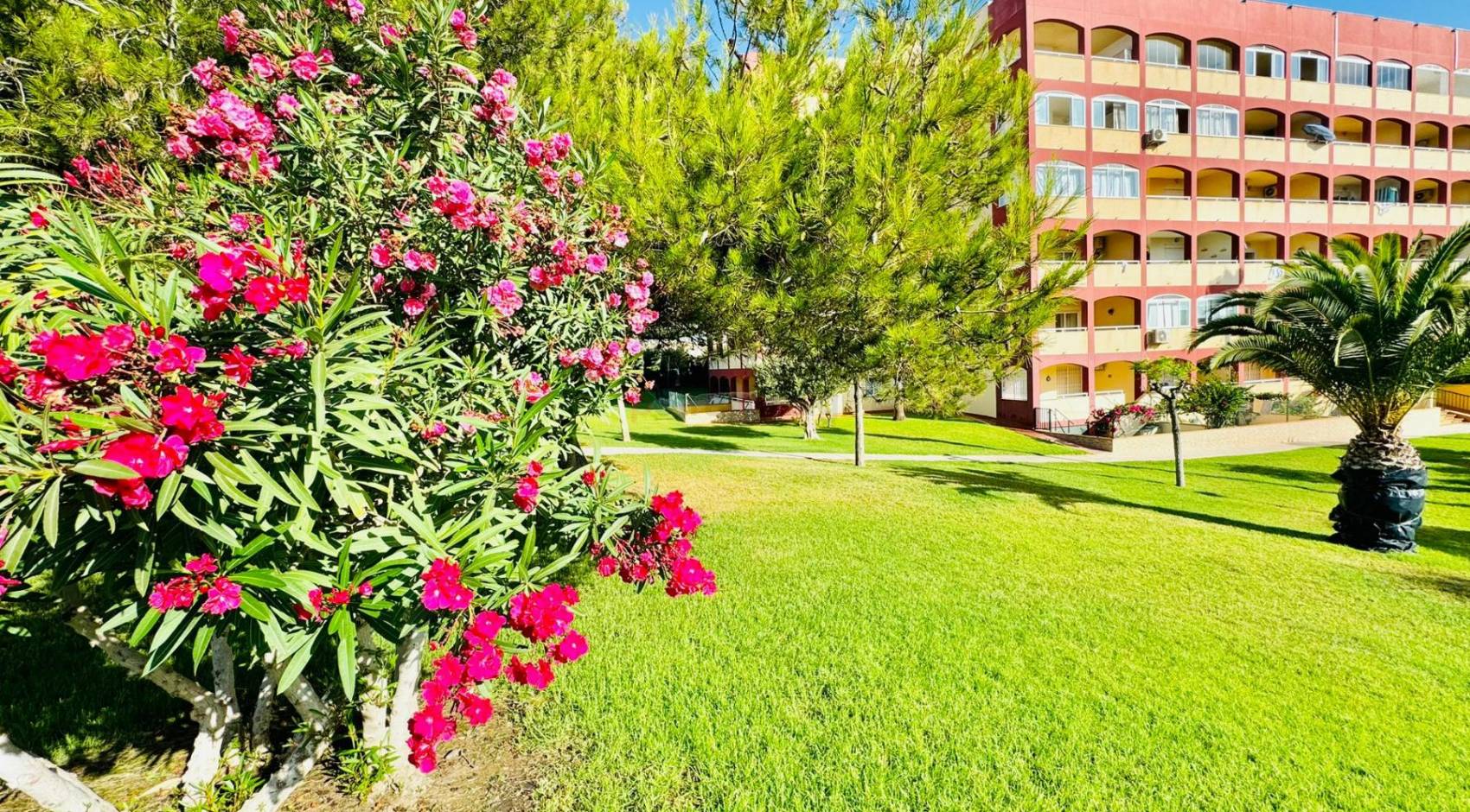 A Vendre - Appartement - Torrevieja - La Mata