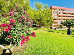 A Vendre - Appartement - Torrevieja - La Mata