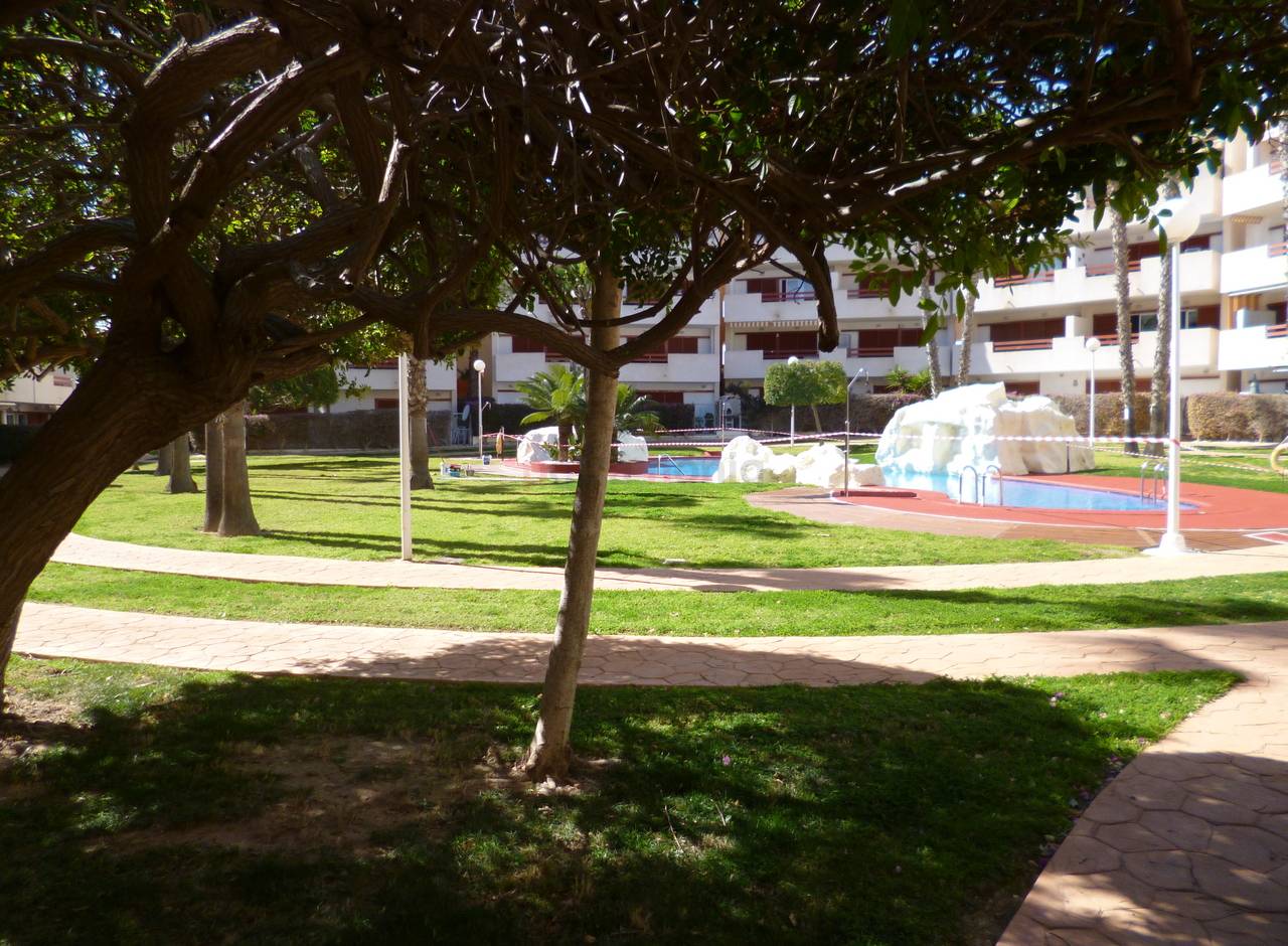 Resales - Appartement - Playa Flamenca - Playa Flamenca I