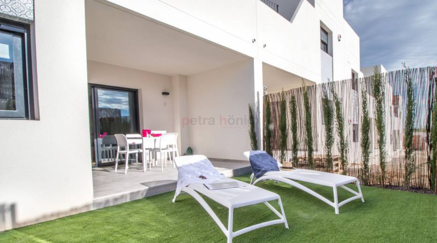 Neubau-Projekte - Apartment - San Miguel de Salinas