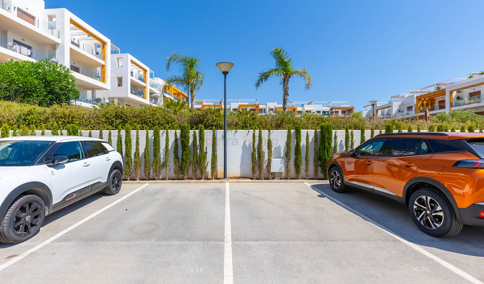 Gebrauchtobjekte - Apartment - Orihuela Costa - Villamartin