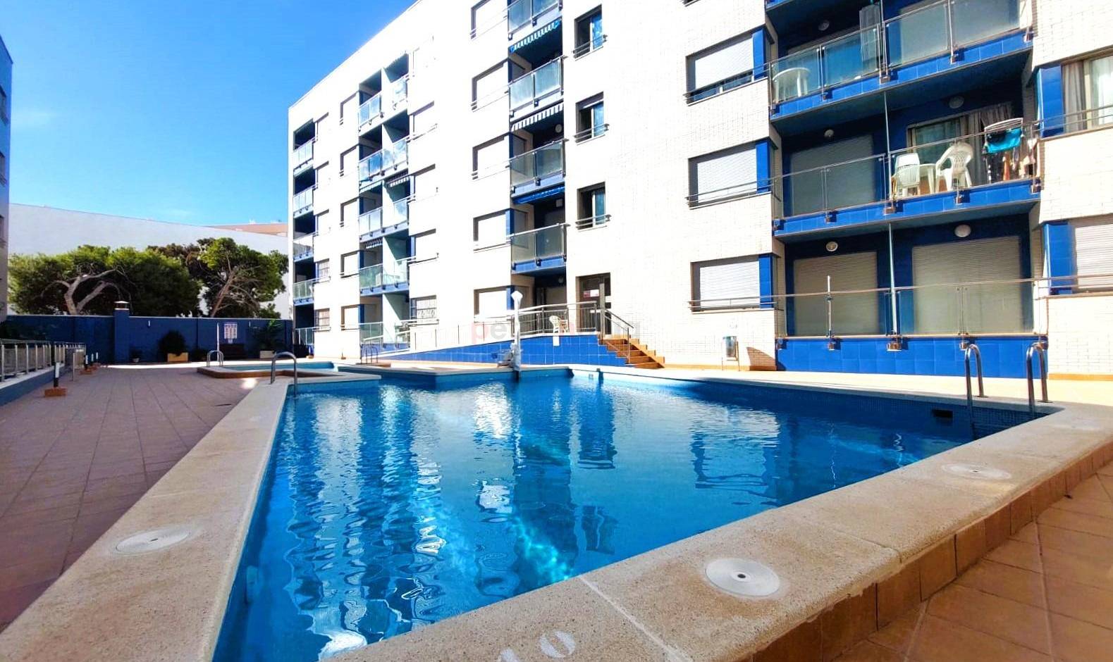 A Vendre - Appartement - Torrevieja - Playa de los Locos