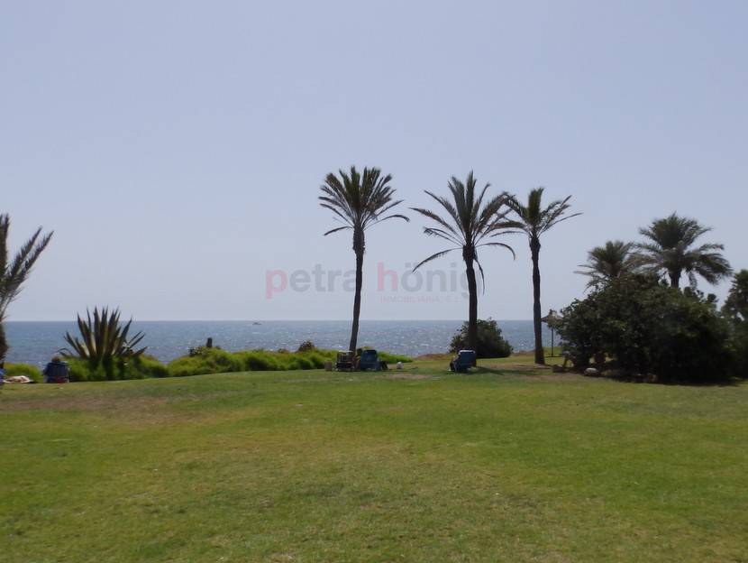 A Vendre - Appartement - Torrevieja