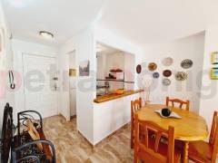 Reventa - Apartamento - La Mata - Puerto Romano