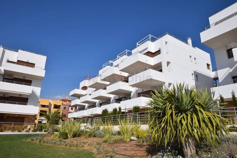 Gebrauchtobjekte - Apartment - Cabo Roig