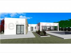 Nouvelle Construction - Villa - Pinoso - Lel