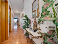 Gebrauchtobjekte - Apartment - Torrevieja - Centro