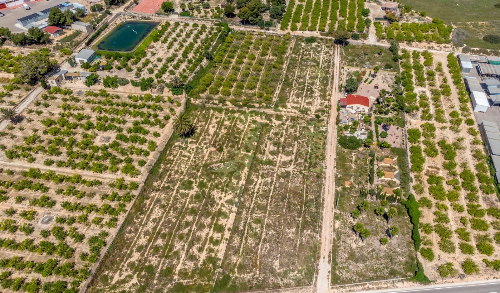 Reventa - Parcela - Algorfa