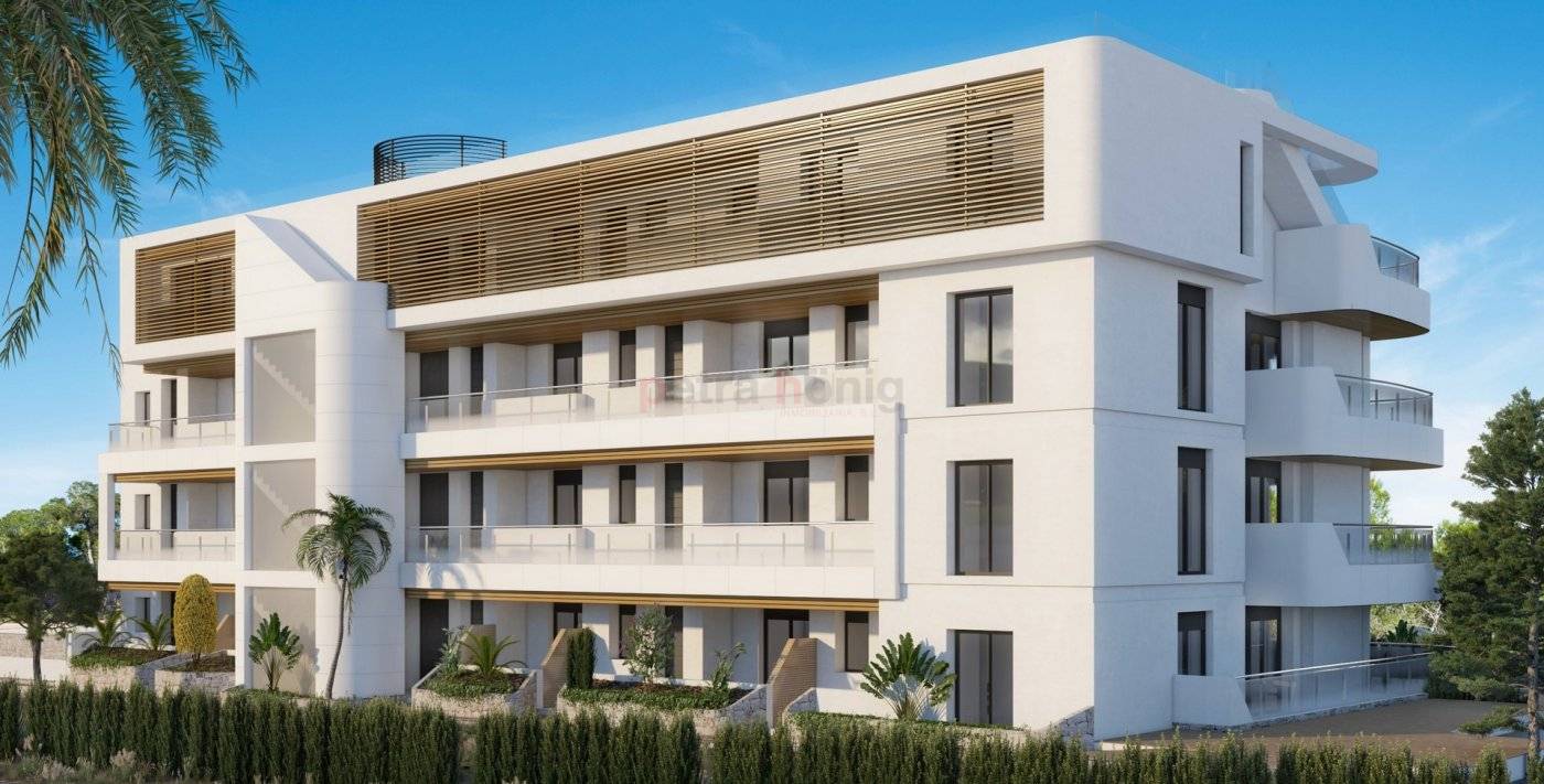 Neubau-Projekte - Apartment - Orihuela Costa - Playa Flamenca