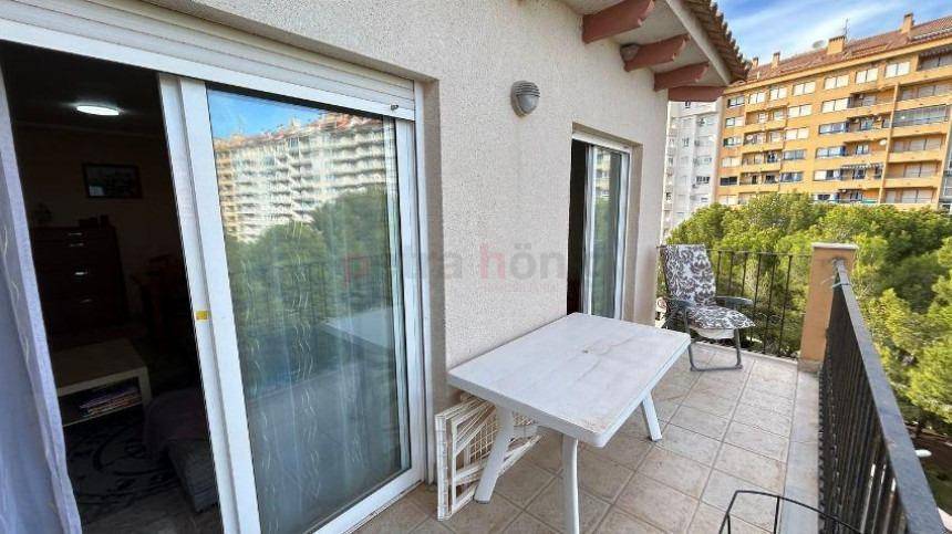 A Vendre - Appartement - Orihuela Costa - Altos de campoamor