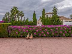 Gebrauchtobjekte - Einfamilienhaus - Ciudad Quesada