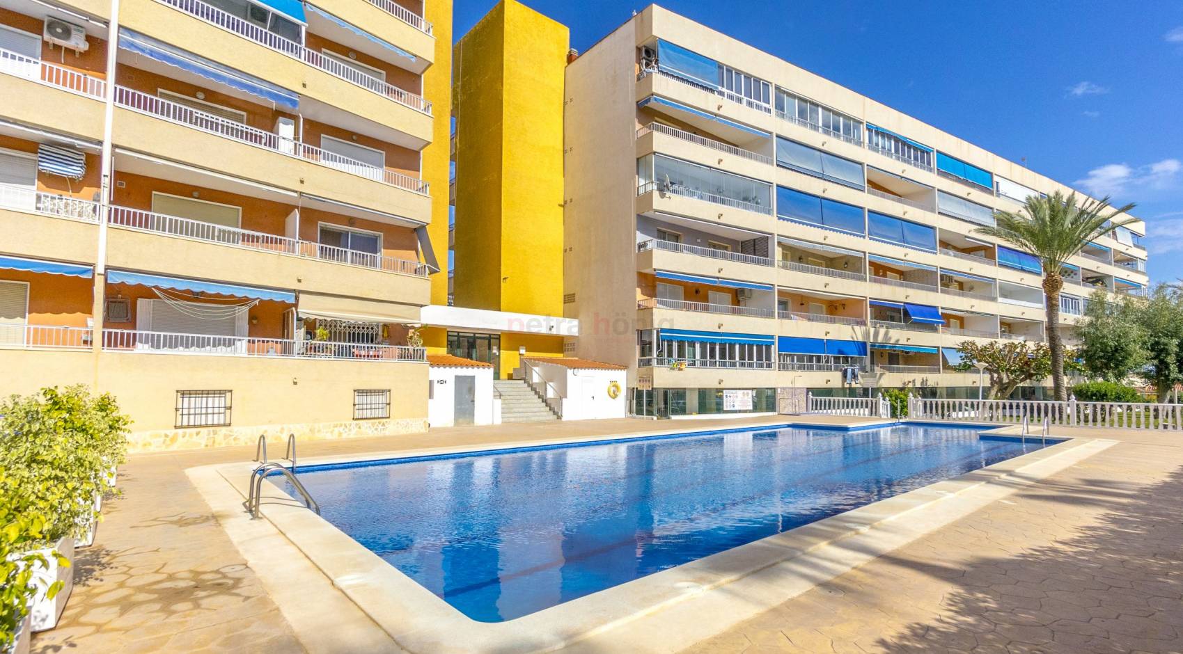 Reventa - Apartamento - Punta Prima - El Acequión