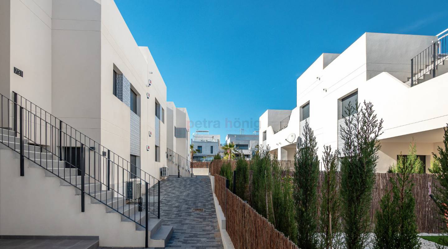 Obra Nueva - Apartamento - San Miguel de Salinas - Alicante