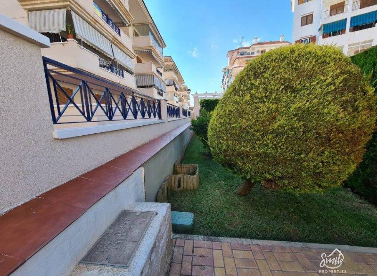 Gebrauchtobjekte - Apartment - La Mata