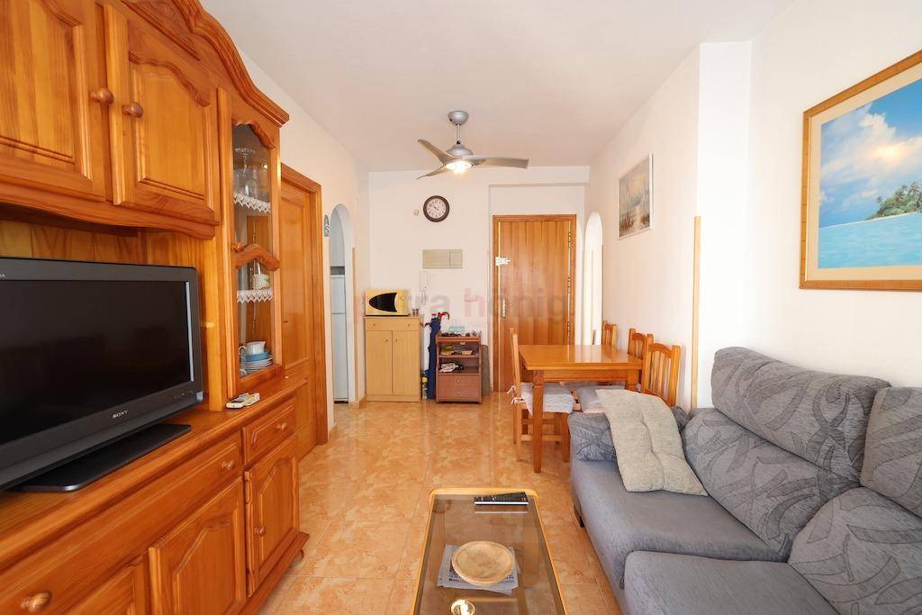 Resales - Apartment - Torrevieja - Acequion