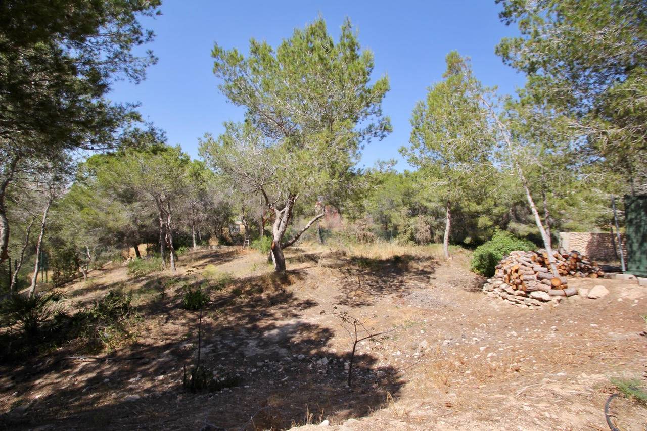 Gebrauchtobjekte - Finca - Los balcones - Los Balcones