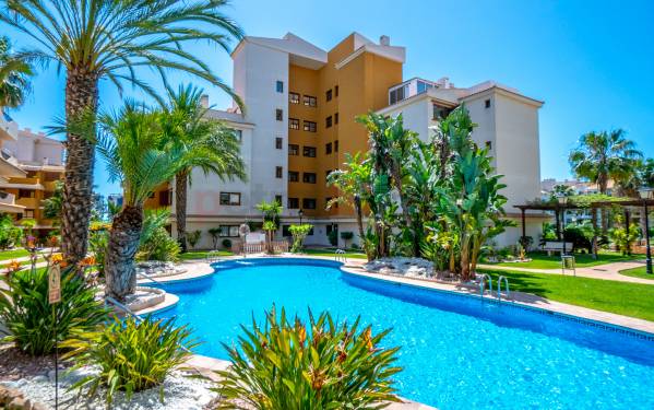 Apartamento - Reventa - Punta Prima - La Entrada