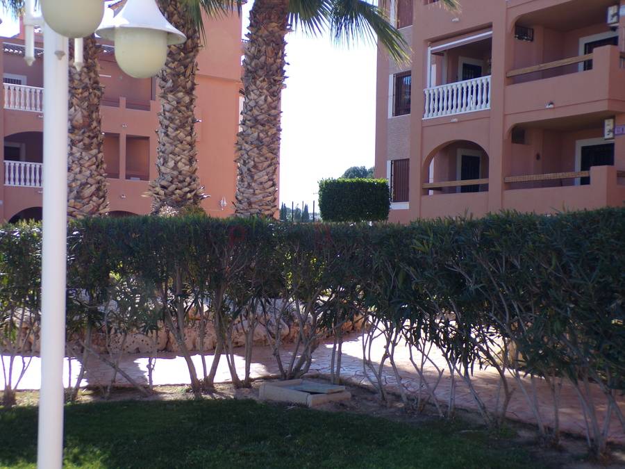 Veruur lang - Appartement - Villamartin