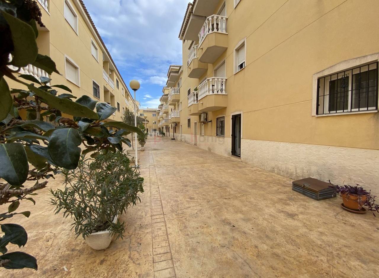 Resales - Apartment - Formentera del Segura - Forementera del Segura