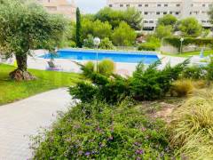 Gebrauchtobjekte - Apartment - Orihuela Costa - Villamartin