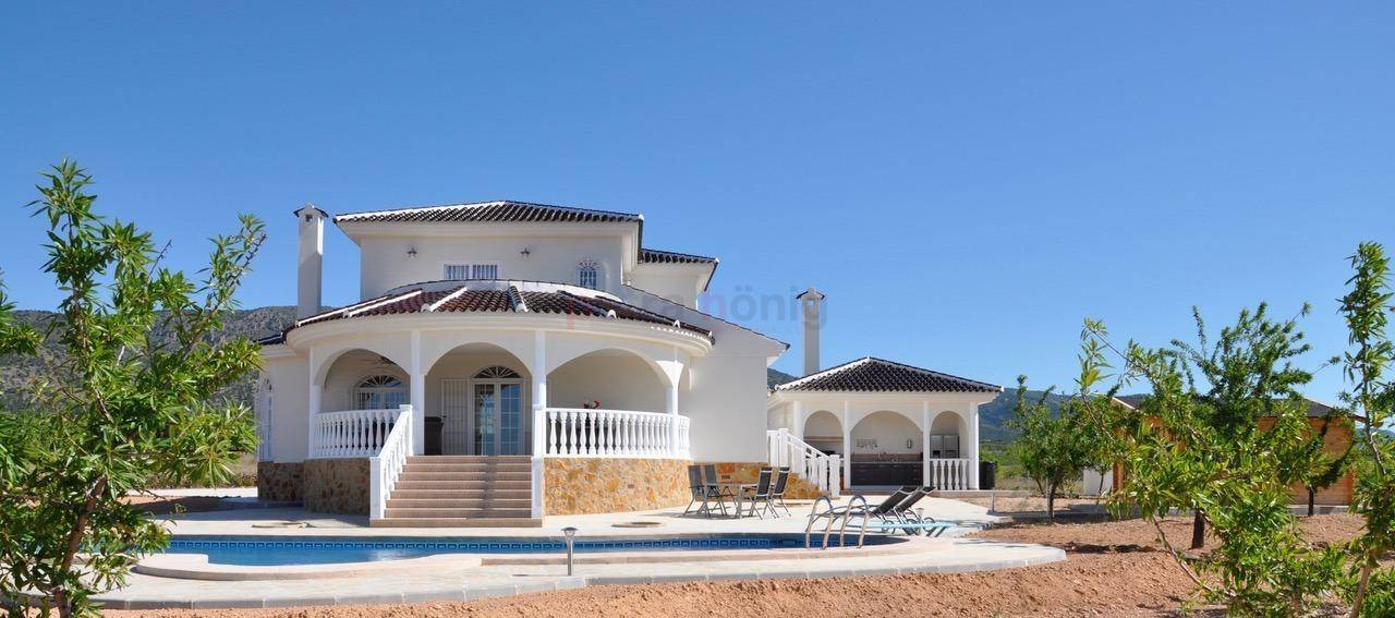 New build - Villa - Pinoso - Campo