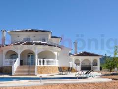 New build - Villa - Pinoso - Campo