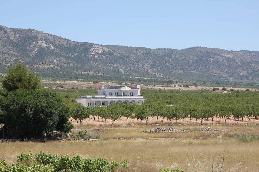 nieuw - Villa - Pinoso - Camino Del Prado