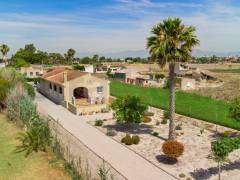 A Vendre - Finca - Dolores