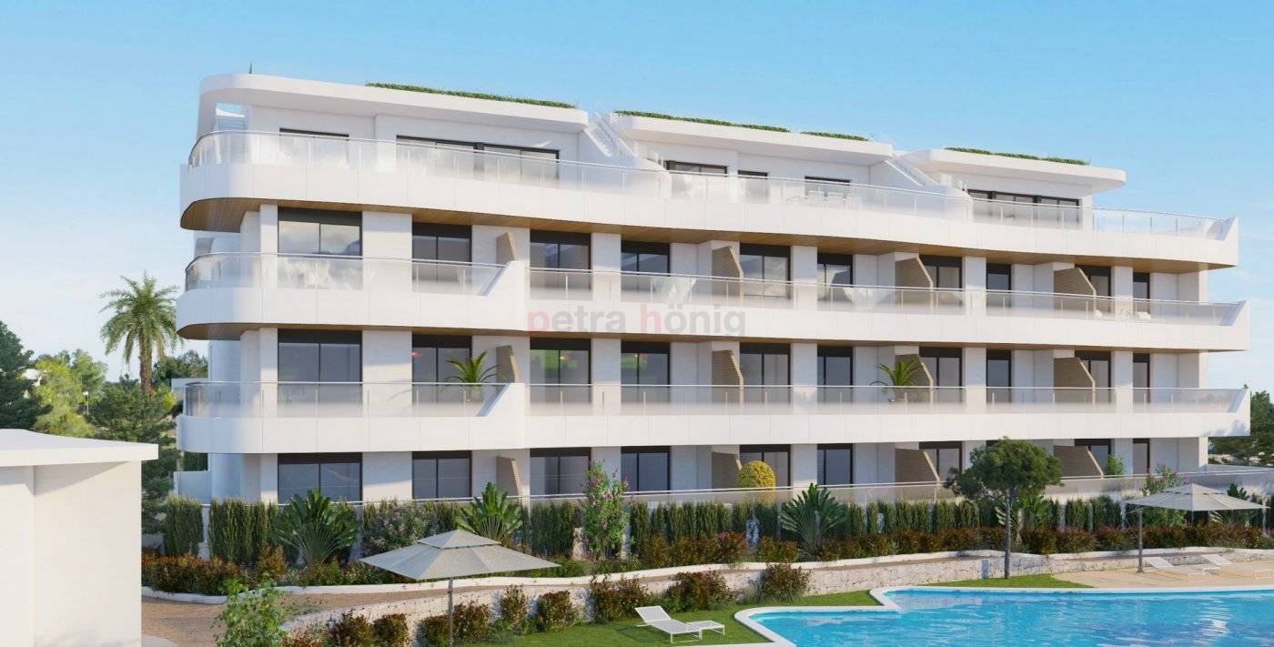 New build - Apartment - Orihuela Costa - Playa Flamenca