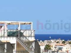 Nouvelle Construction - Appartement - Villamartin