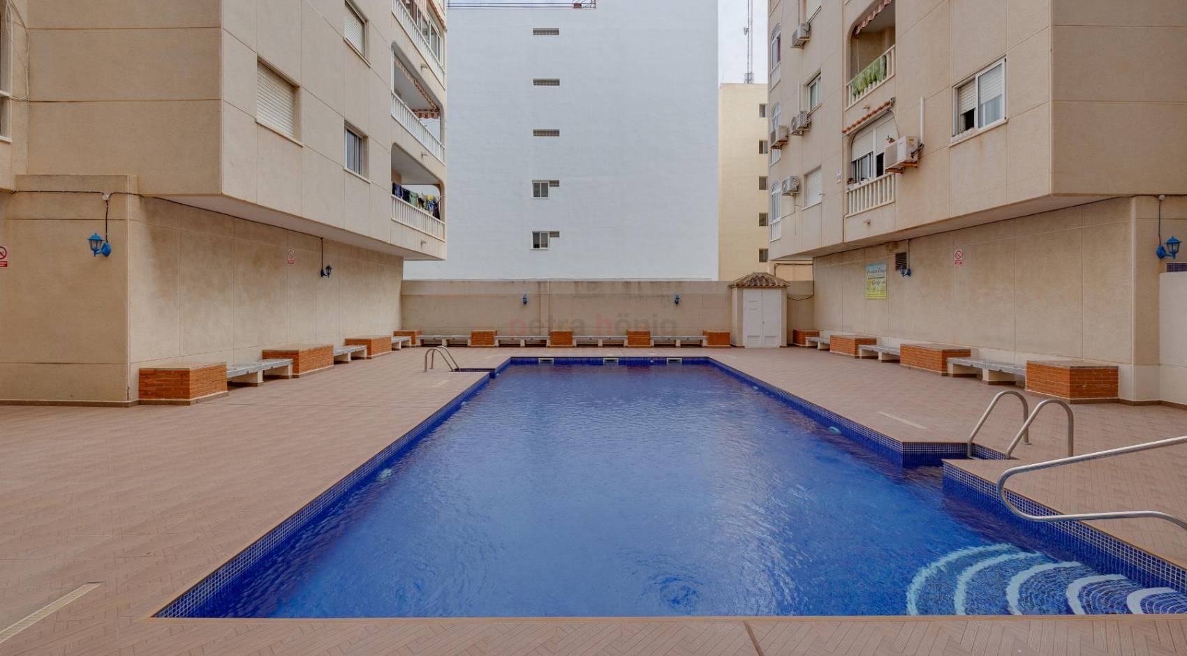 Resales - Apartment - Torrevieja - Playa De Los Náufragos