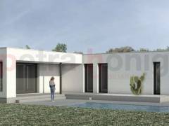 Nouvelle Construction - Villa - Pinoso