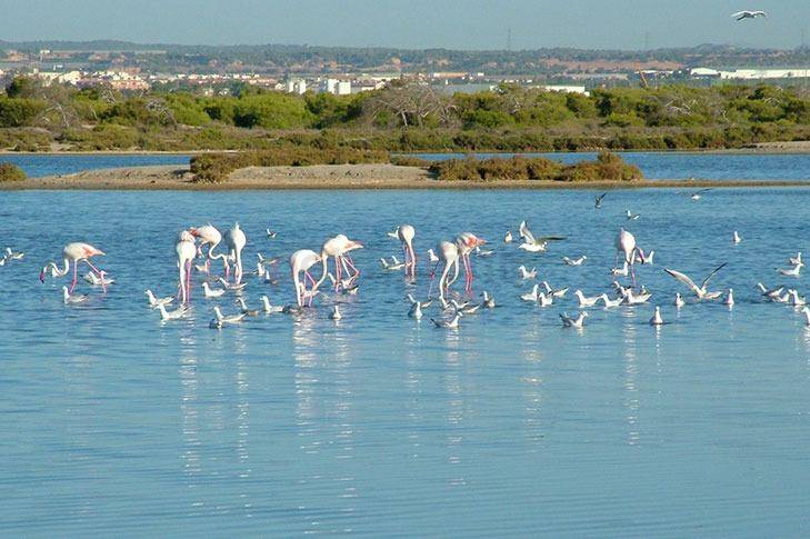 nieuw - Bungalow - San Pedro del Pinatar - Las esperanzas